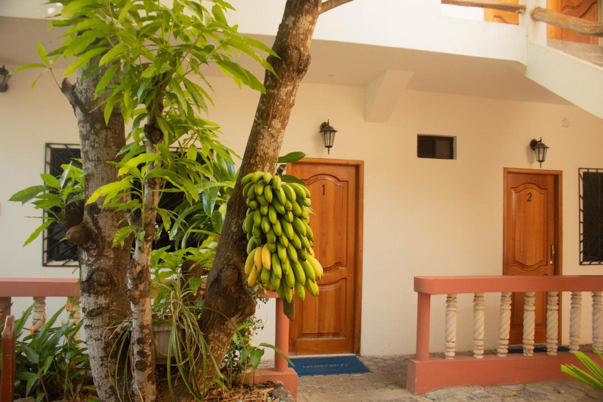 Casa De Nelly Hotell Puerto Baquerizo Moreno Exteriör bild